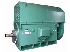 YR5006-10/355KWY系列6KV高压电机
