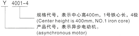 西安泰富西玛Y系列(H355-1000)高压YR5006-10/355KW三相异步电机型号说明